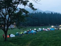 -武陵山森林公园