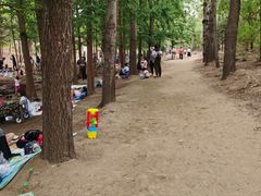 -白水寺森林公园