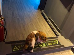 -后院儿·精酿·塔罗Happy Bar