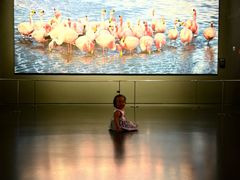 -罗红摄影艺术馆