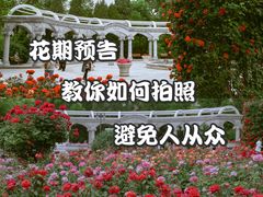 -睦南公园