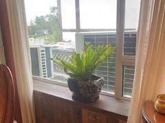 -慢丽江·云南野生菌土鸡锅(付家庄店)