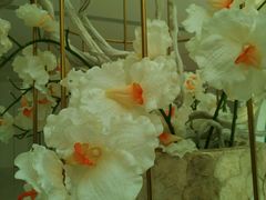 -广州花之恋城堡酒店
