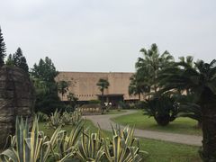 -自贡恐龙博物馆