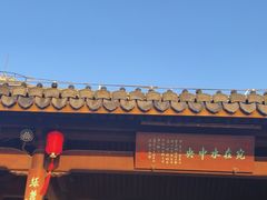 -江心屿景区
