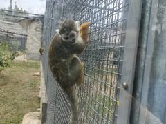 -石家庄市动物园