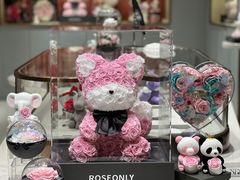 -ROSEONLY诺誓(磐基中心店)