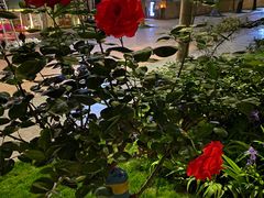 -西安电影制片厂