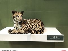 -国家自然博物馆