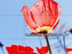 -五通灯塔公园
