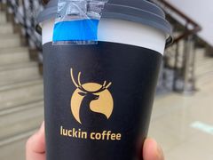 -瑞幸咖啡(凯德龙之梦莘庄店)