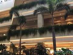 -白天鹅宾馆·流浮阁咖啡厅