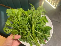 茼蒿-温野菜涮涮锅(大悦城店)