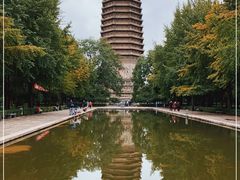 -玲珑塔公园
