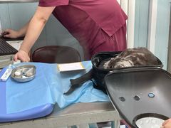 -纳吉亚猫专科动物诊疗中心(蒋宅口分院)