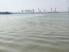 -瑶湖郊野森林公园