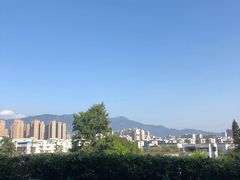 -金鸡山公园