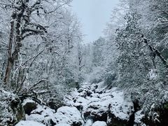 -龙苍沟森林公园