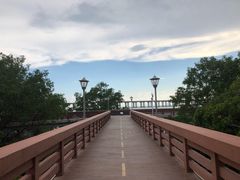 -宝安西湾红树林湿地公园