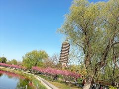 -西海子公园