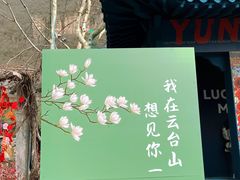 -云台山风景名胜区