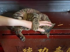 -西园戒幢律寺