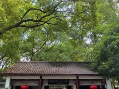 -瀛洲公园