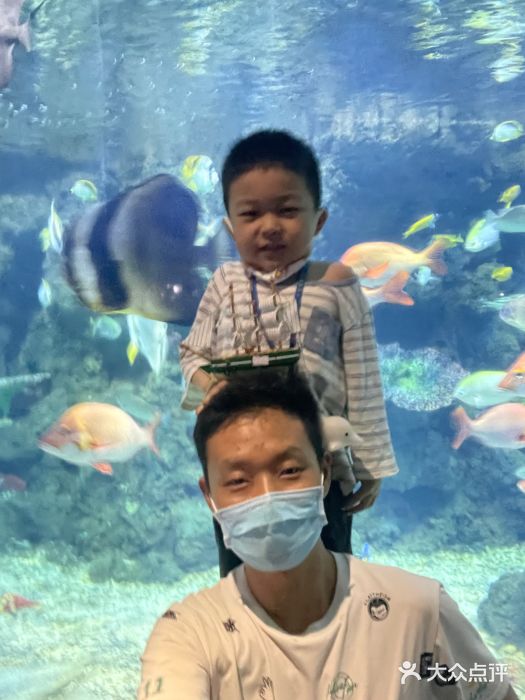 郑州海洋馆图片