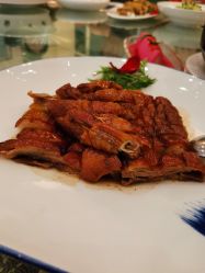 -尊茂银都酒店·宴会厅