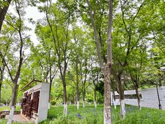 -南通濠河风景名胜区