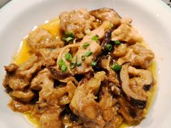 -老乡鸡(上海白玉兰广场店)