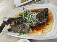 清蒸老虎斑-朱仔记食府(江南大道店)