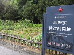 -延安杨家岭革命旧址