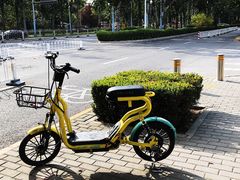 -三里屯东五街银杏大道
