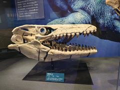 -国家自然博物馆