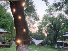 -Supine Bistro溯泮餐厅