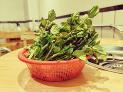 -阿鸡鱼庄·顺德鲜蒸小炒(亚运村店)