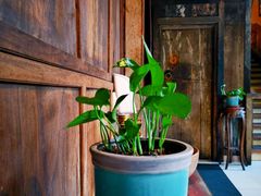 -兰溪小馆(东直门簋街店)