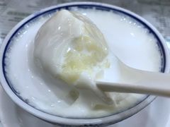 椰汁双皮奶-仁信老铺(华盖路店)