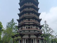 -洋湖国家湿地公园