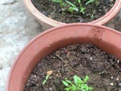 -房山世界地质公园博物馆