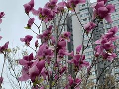 -万寿八仙宫