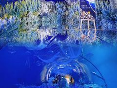 -海合安青岛极地海洋公园