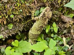 -西岭雪山大飞水景区