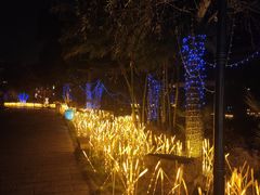 -靖西锦绣古镇景区