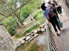 -白水寺森林公园