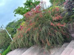 -广州莲花山旅游区