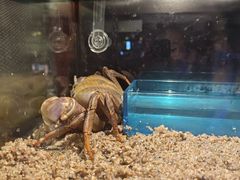 -太平洋海底世界