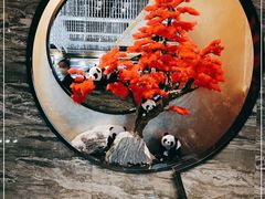 -红辣椒·川菜·火锅(张杨路店)