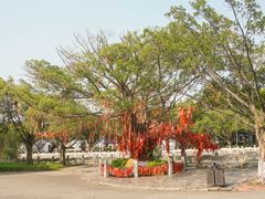 -南沙天后宫景区